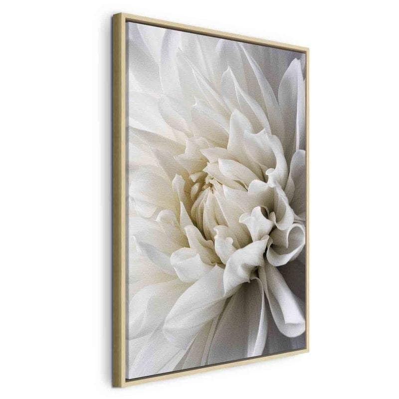 Quadro White Dahlia in Poster e stampe Collezione Casa - Trebisacce, commercioVirtuoso.it