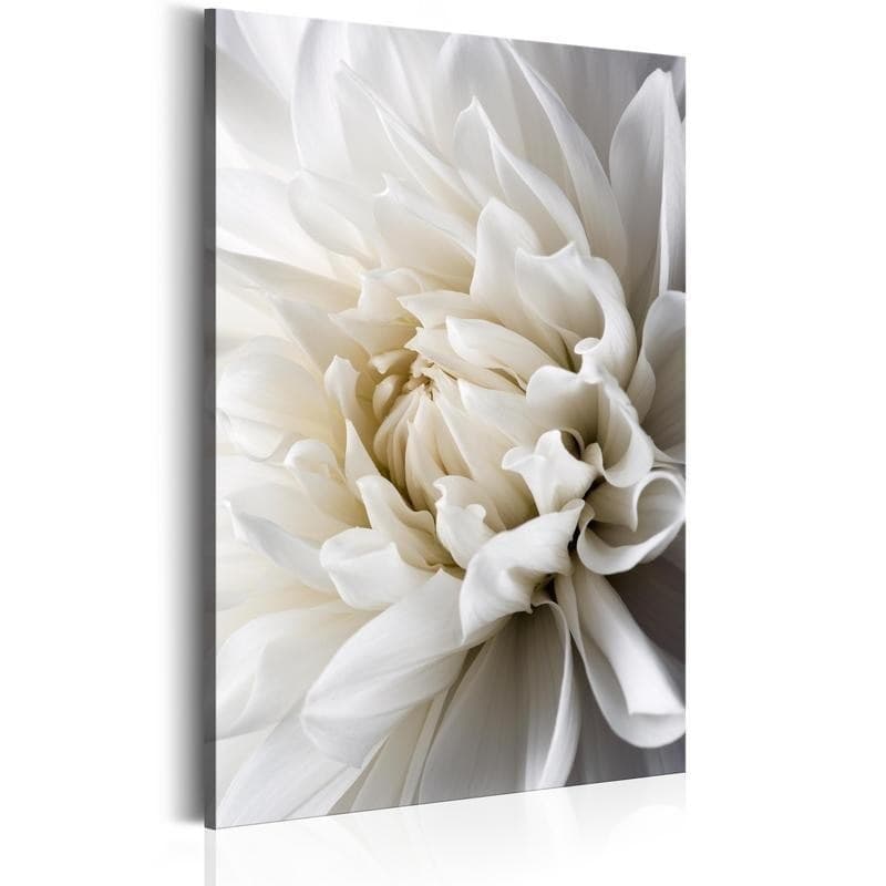 Quadro White Dahlia in Poster e stampe Collezione Casa - Trebisacce, commercioVirtuoso.it