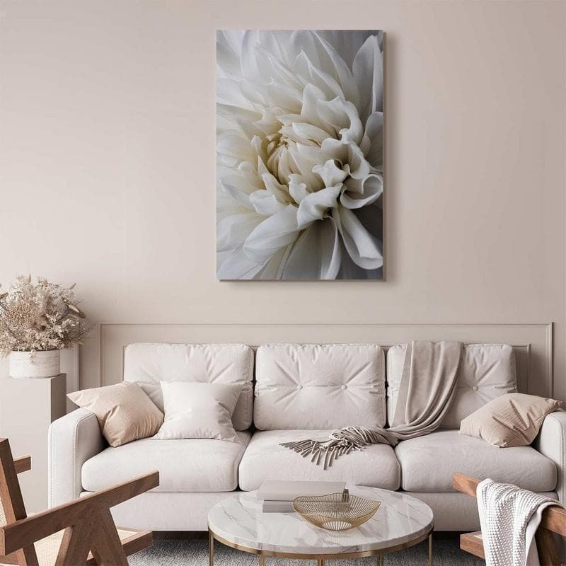 Quadro White Dahlia in Poster e stampe Collezione Casa - Trebisacce, commercioVirtuoso.it