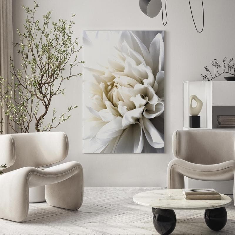 Quadro White Dahlia in Poster e stampe Collezione Casa - Trebisacce, commercioVirtuoso.it