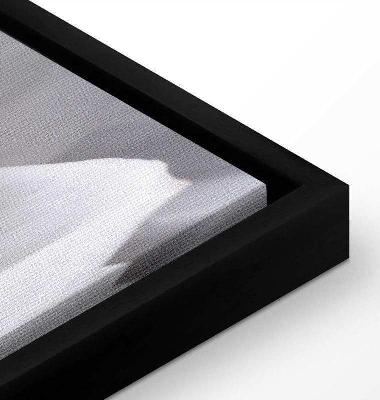 Quadro White Dahlia in Poster e stampe Collezione Casa - Trebisacce, commercioVirtuoso.it