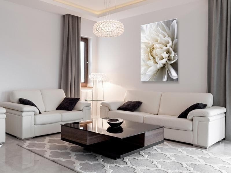 Quadro White Dahlia in Poster e stampe Collezione Casa - Trebisacce, commercioVirtuoso.it