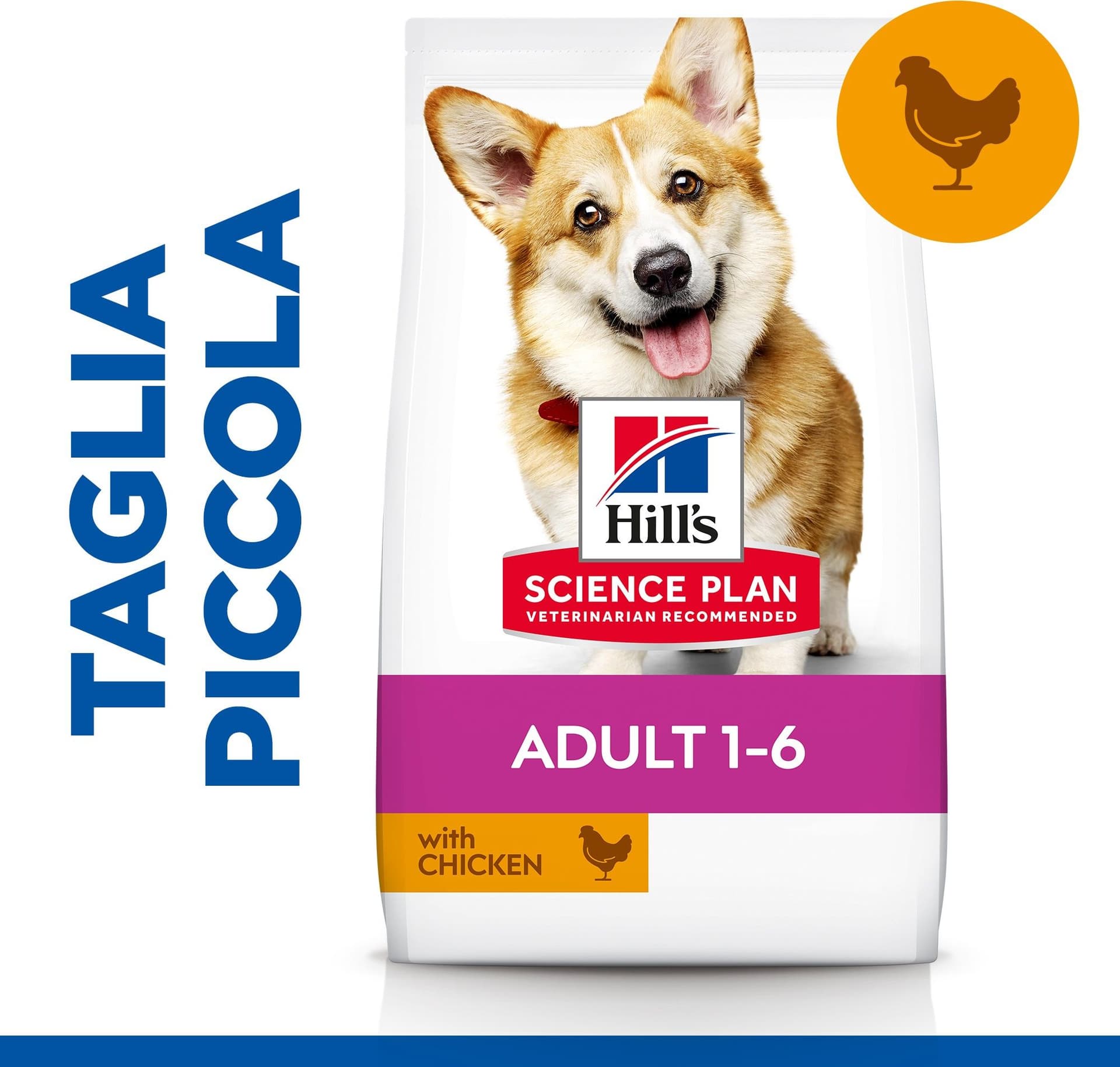 Hill's Mantenimento secco Cani Adulti Mini pollo in Secco 101 Market - Poggibonsi, commercioVirtuoso.it