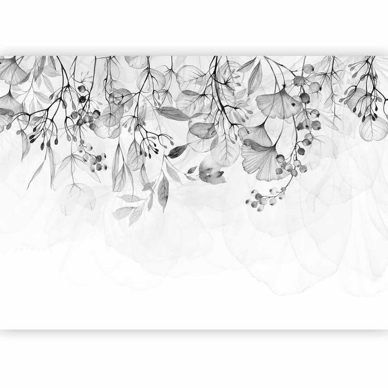 Fotomurale Foggy Nature Grey in Carta da parati Collezione Casa - Trebisacce, commercioVirtuoso.it