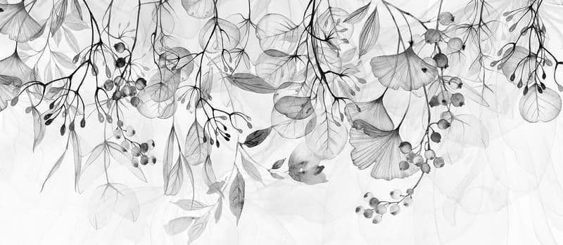 Fotomurale Foggy Nature Grey in Carta da parati Collezione Casa - Trebisacce, commercioVirtuoso.it
