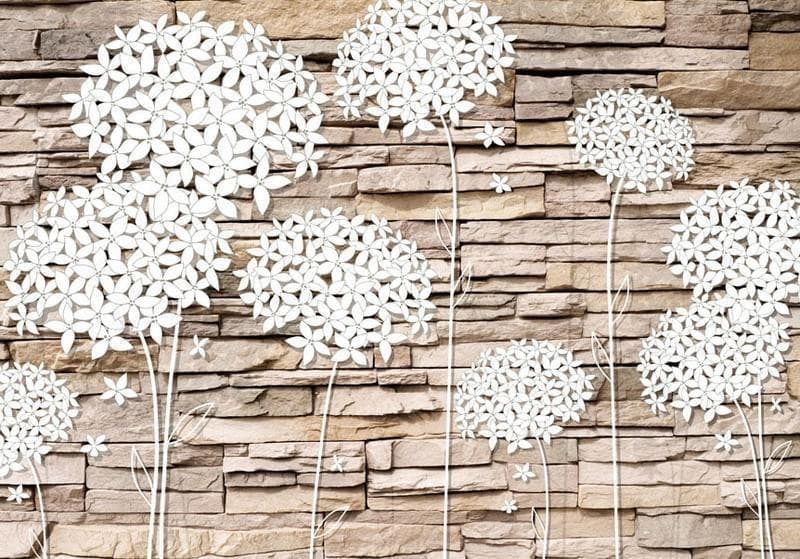 Fotomurale Composizione di fiori sul muro in Carta da parati Collezione Casa - Trebisacce, commercioVirtuoso.it