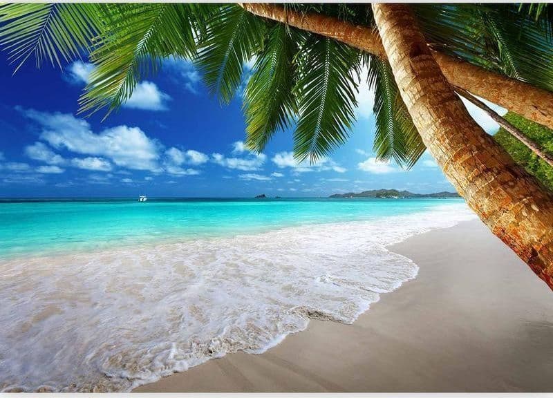 Fotomurale Isola tropicale in Carta da parati Collezione Casa - Trebisacce, commercioVirtuoso.it