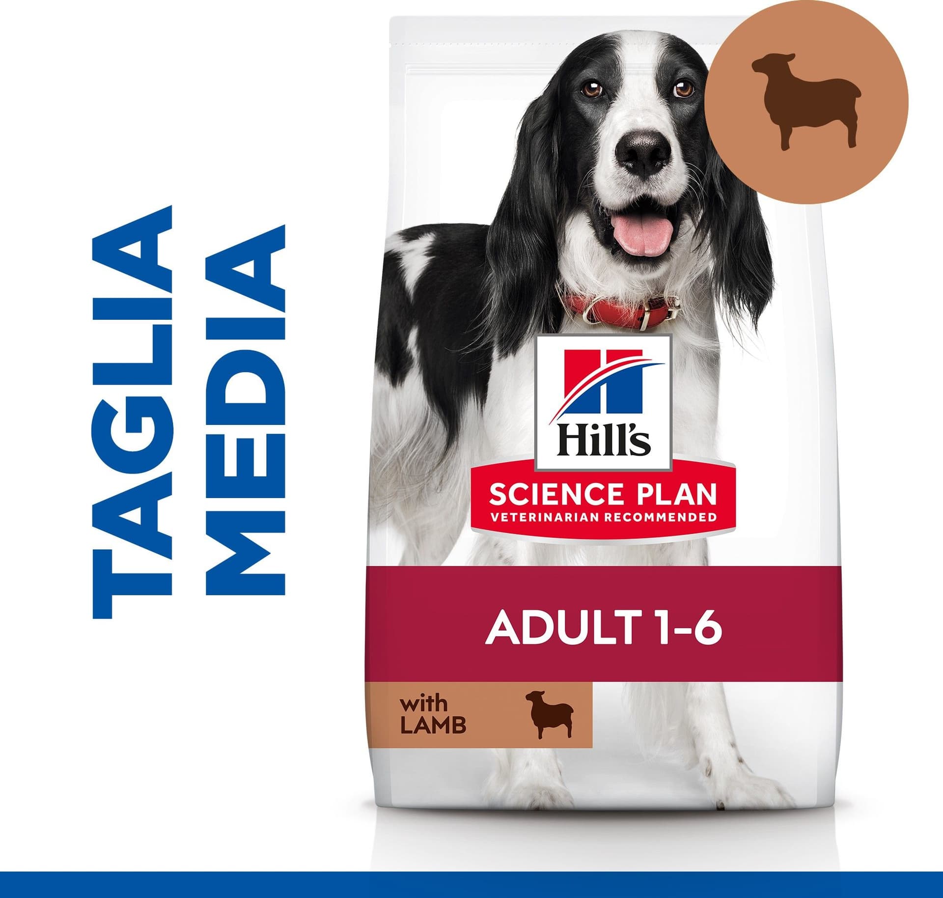 Hill's Mantenimento secco Cani Adulti Medium agnello e riso in Secco 101 Market - Poggibonsi, commercioVirtuoso.it