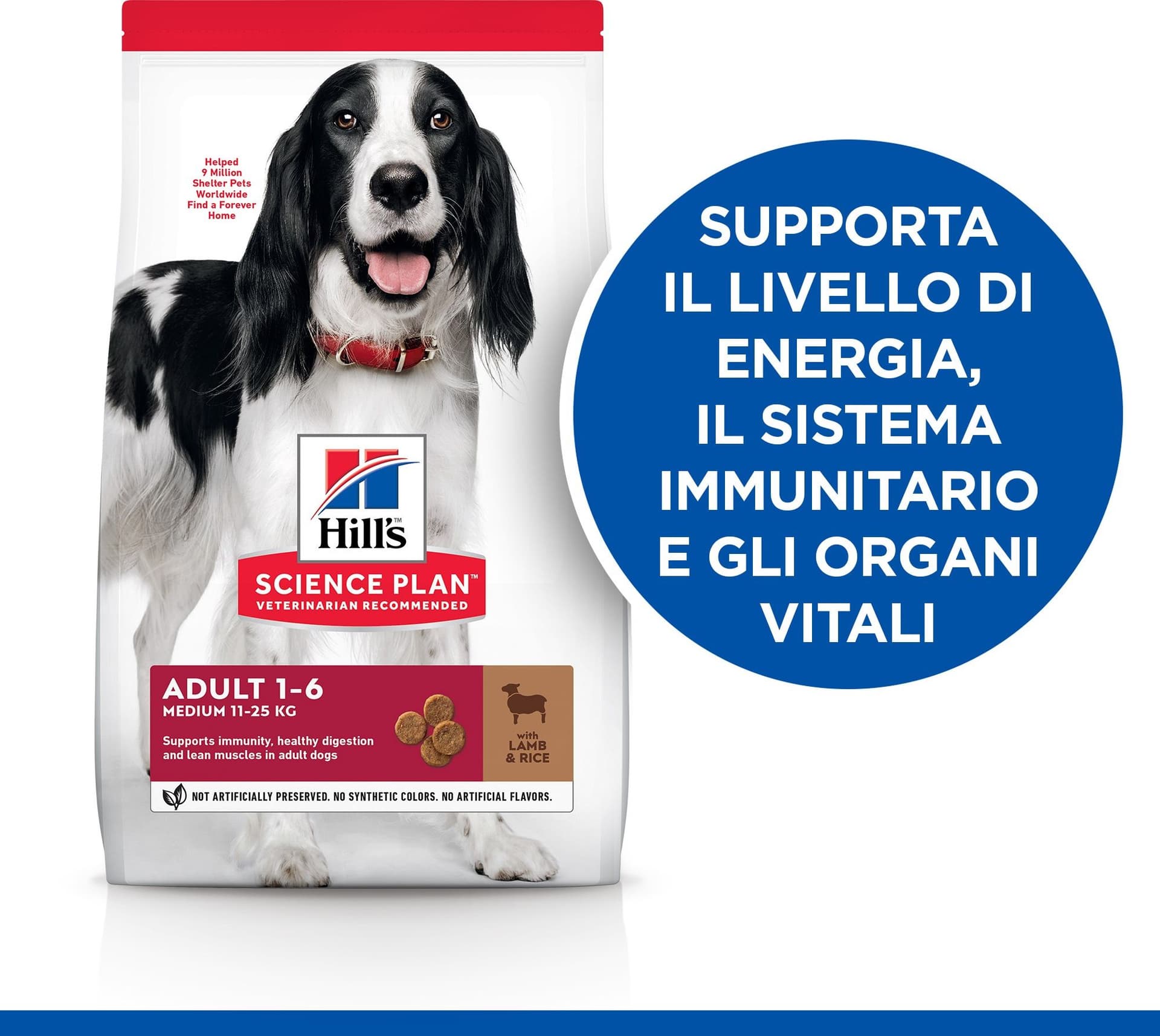 Hill's Mantenimento secco Cani Adulti Medium agnello e riso in Secco 101 Market - Poggibonsi, commercioVirtuoso.it