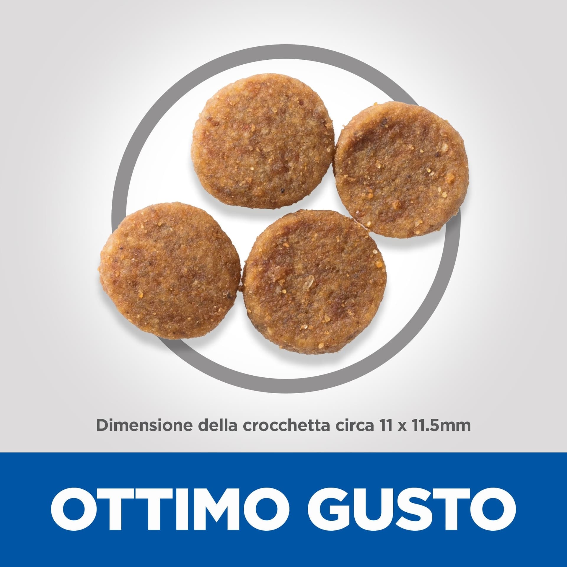 Hill's Mantenimento secco Cani Adulti Medium agnello e riso in Secco 101 Market - Poggibonsi, commercioVirtuoso.it