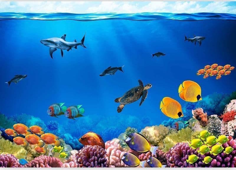 Fotomurale Regno sottomarino in Carta da parati Collezione Casa - Trebisacce, commercioVirtuoso.it