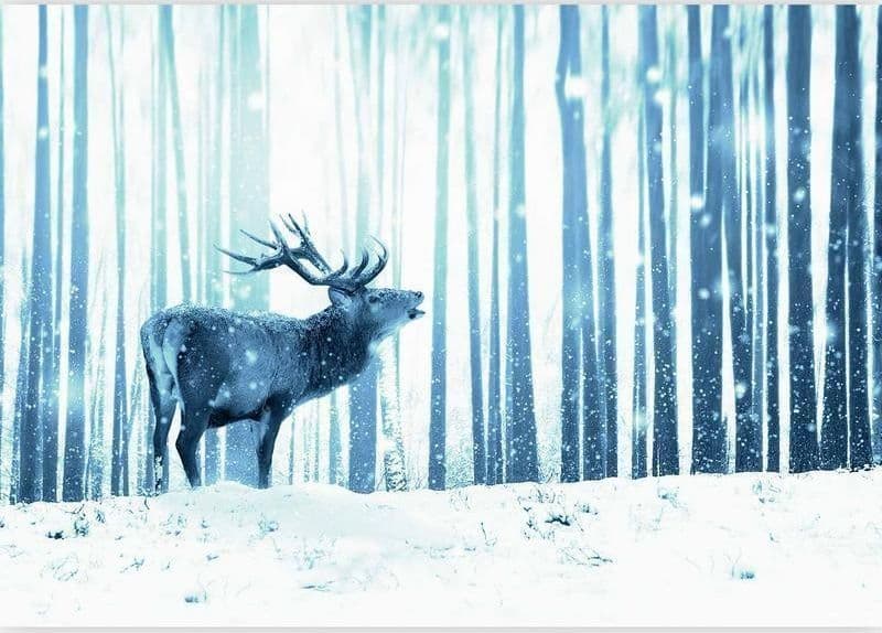 Carta da Parati Deer in the Snow Blue in Carta da parati Collezione Casa - Trebisacce, commercioVirtuoso.it