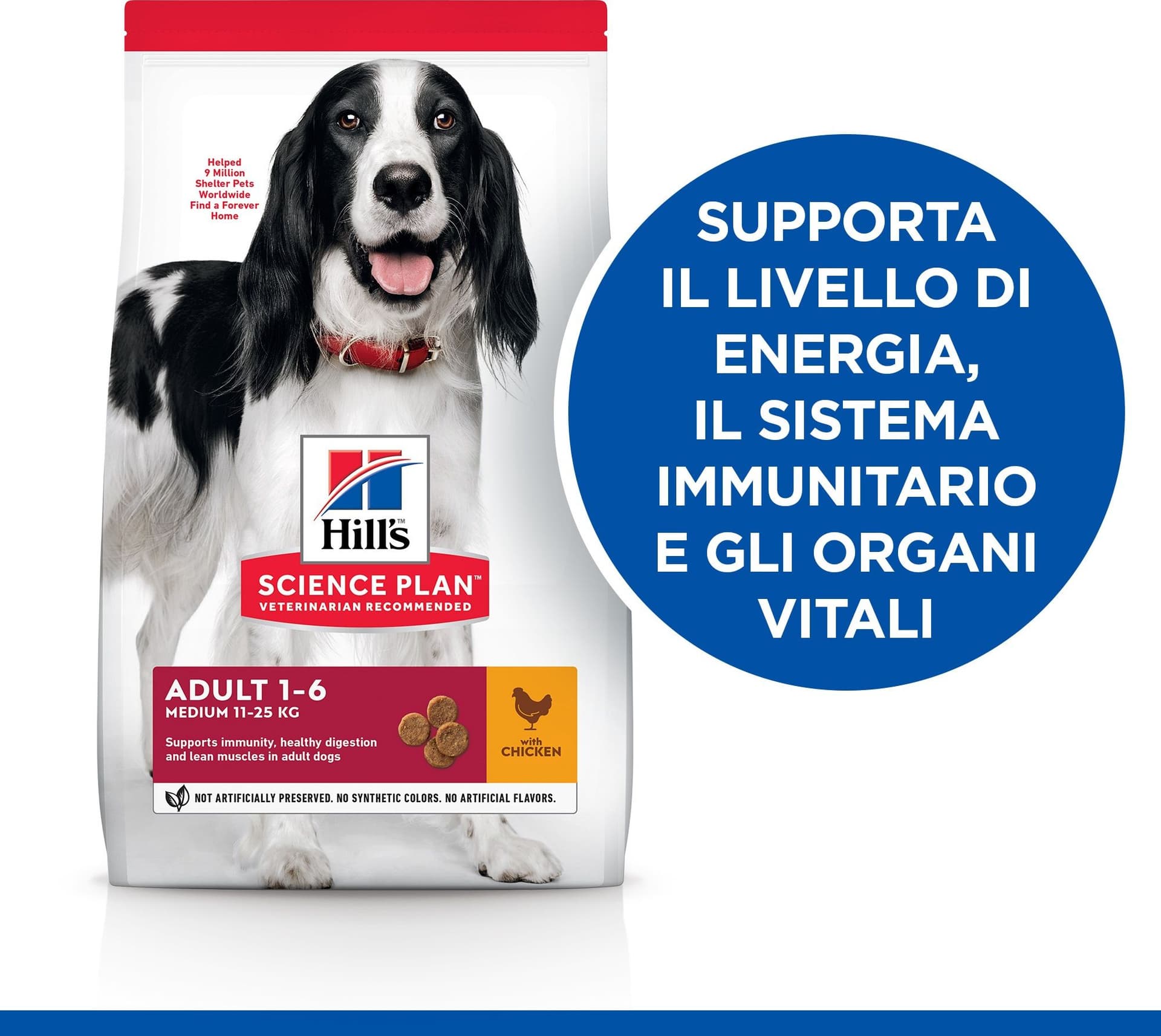 Hill's Mantenimento secco Cani Adulti Medium pollo in Secco 101 Market - Poggibonsi, commercioVirtuoso.it