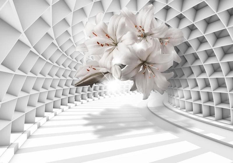 Fotomurale Flowers in the Tunnel in Carta da parati Collezione Casa - Trebisacce, commercioVirtuoso.it