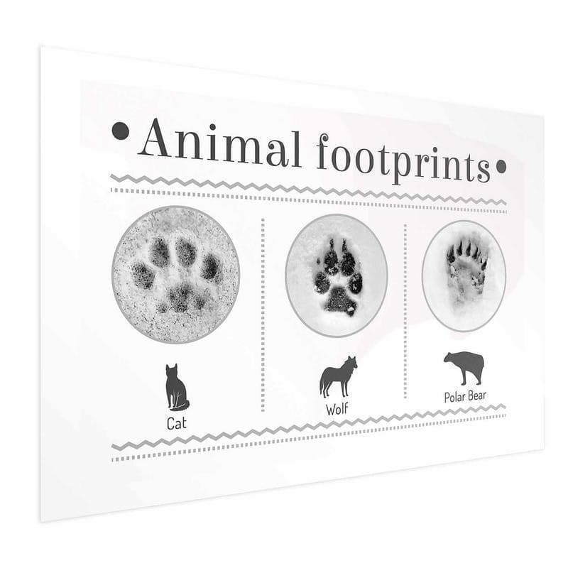 Poster - Paw Prints in Poster e stampe Collezione Casa - Trebisacce, commercioVirtuoso.it