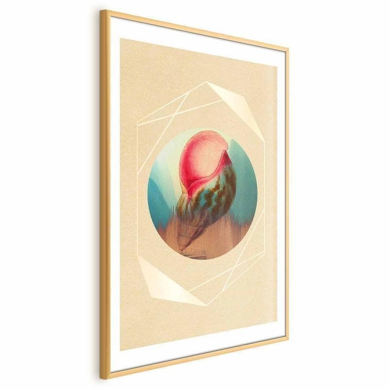 Poster - Shell in Poster e stampe Collezione Casa - Trebisacce, commercioVirtuoso.it