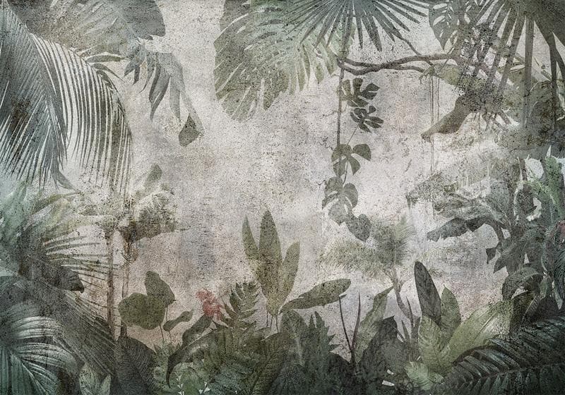 Fotomurale Rain Forest in the Fog in Carta da parati Collezione Casa - Trebisacce, commercioVirtuoso.it