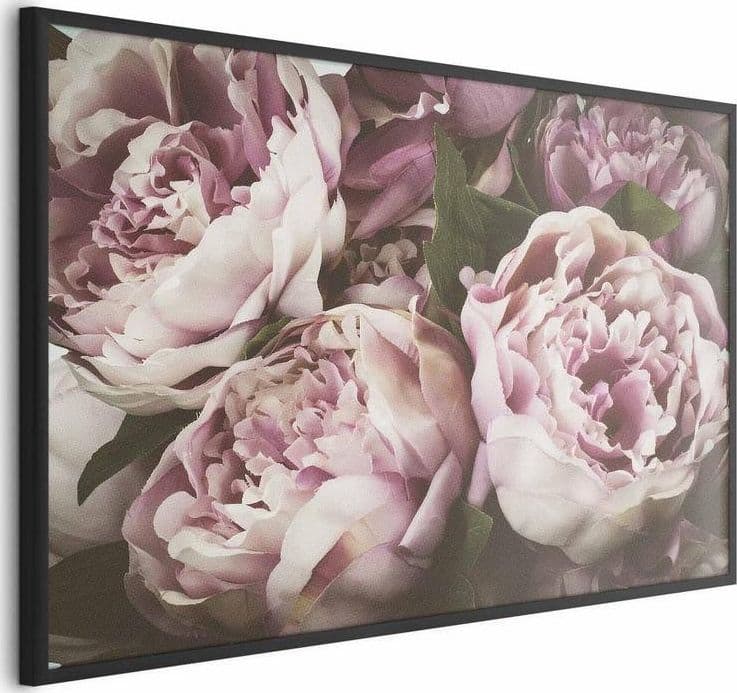 Poster - Pink Peonies in Poster e stampe Collezione Casa - Trebisacce, commercioVirtuoso.it