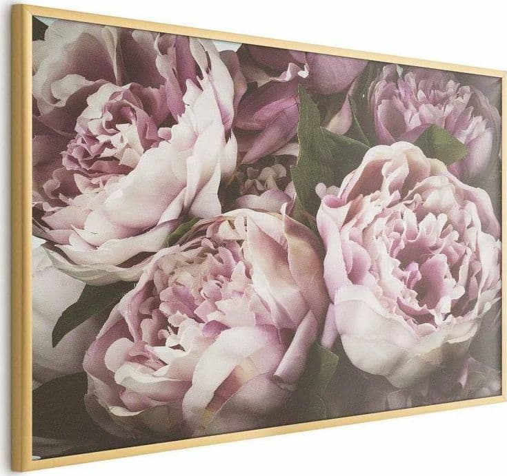 Poster - Pink Peonies in Poster e stampe Collezione Casa - Trebisacce, commercioVirtuoso.it