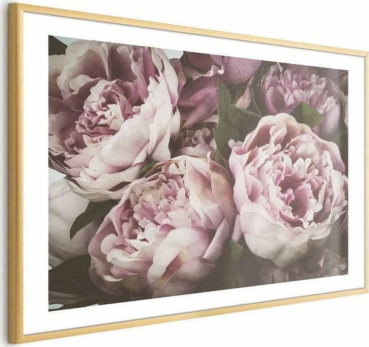 Poster - Pink Peonies in Poster e stampe Collezione Casa - Trebisacce, commercioVirtuoso.it