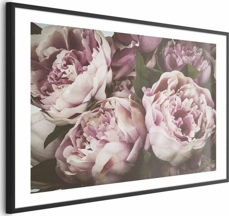 Poster - Pink Peonies in Poster e stampe Collezione Casa - Trebisacce, commercioVirtuoso.it