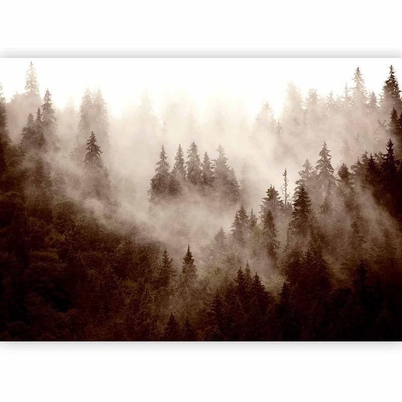 Fotomurale Mountain Forest (Sepia) in Carta da parati Collezione Casa - Trebisacce, commercioVirtuoso.it