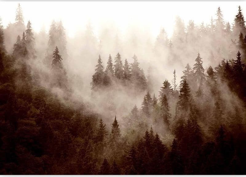 Fotomurale Mountain Forest (Sepia) in Carta da parati Collezione Casa - Trebisacce, commercioVirtuoso.it
