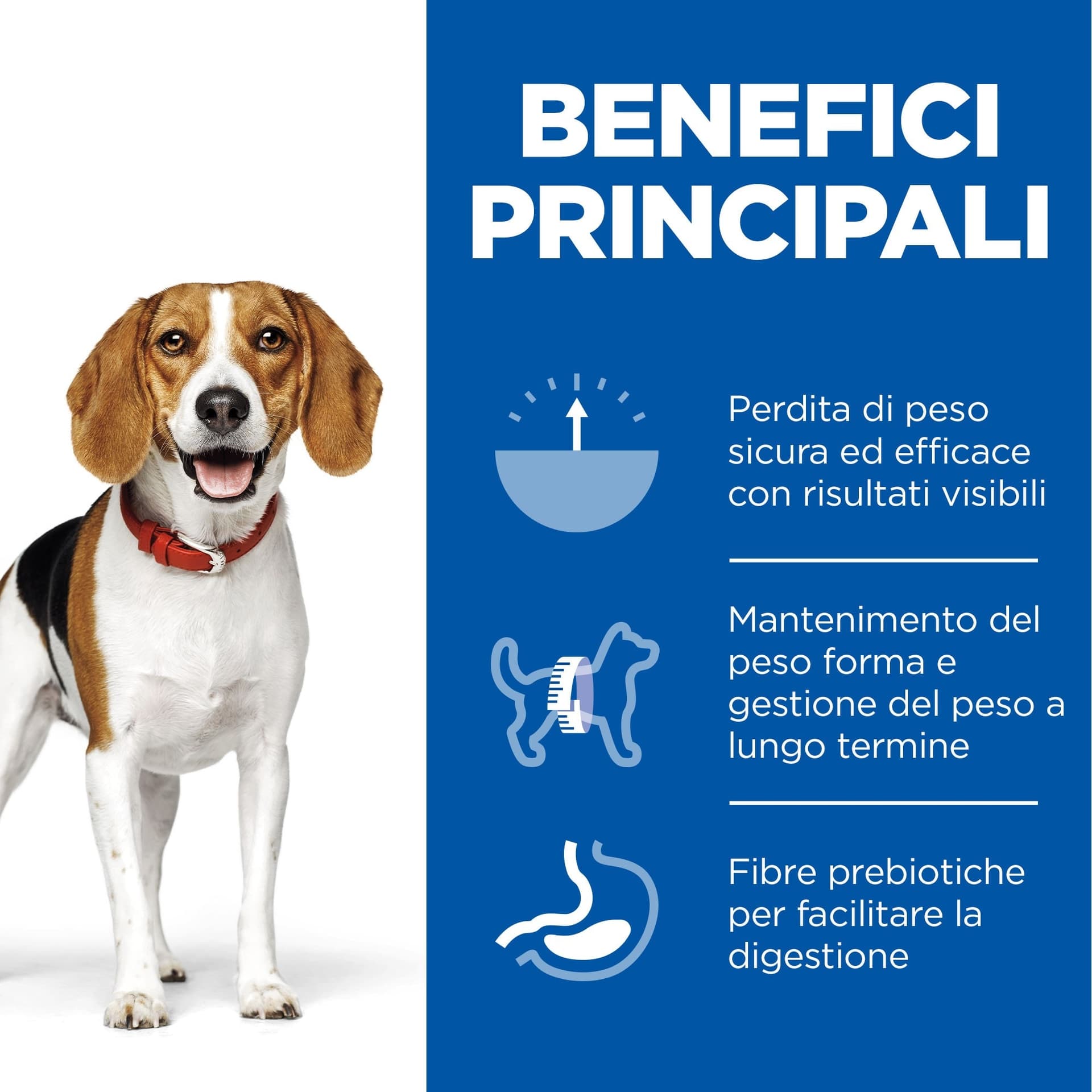 Hill's Perfect Weight secco Cani Adulti Medium pollo in Secco 101 Market - Poggibonsi, commercioVirtuoso.it