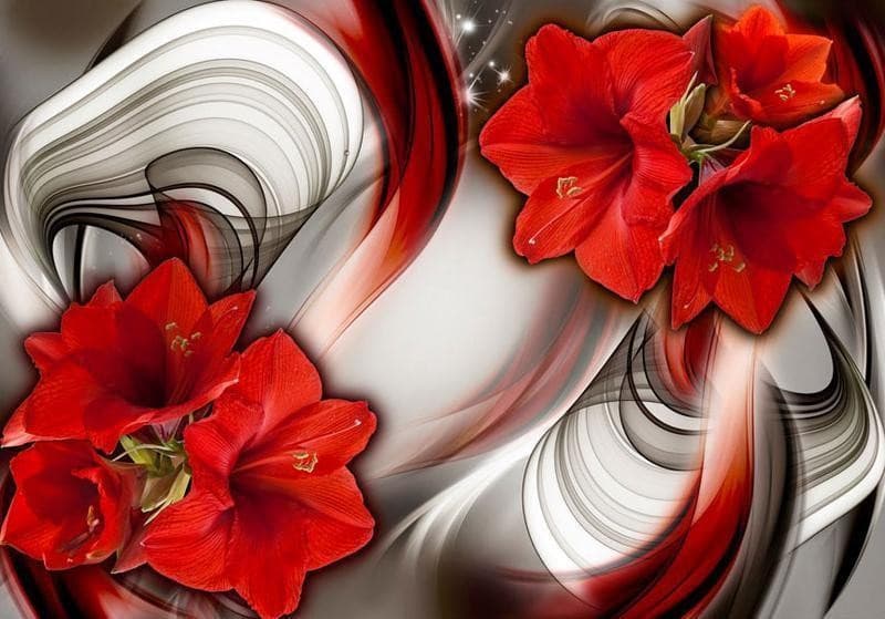 Fotomurale Amaryllis Ballad of the Red in Carta da parati Collezione Casa - Trebisacce, commercioVirtuoso.it