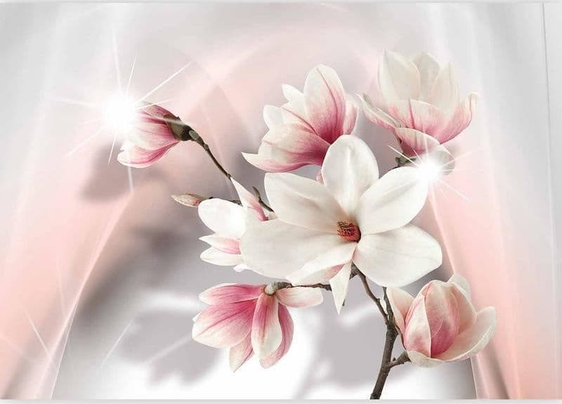 Fotomurale White magnolias in Carta da parati Collezione Casa - Trebisacce, commercioVirtuoso.it