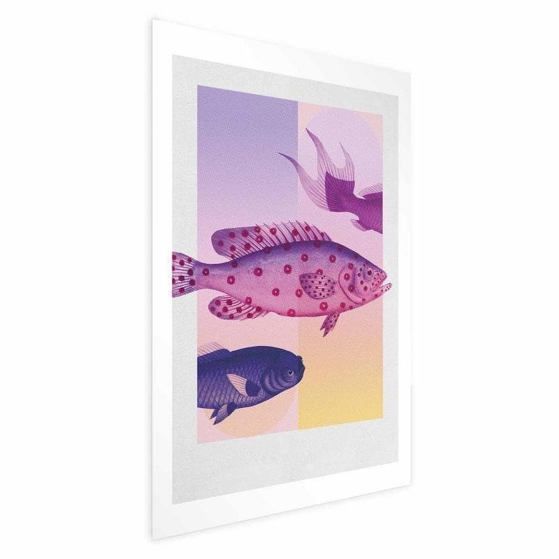Poster - Fantastic Fish - artistic illustration of fish on a colorful background in Poster e stampe Collezione Casa - Trebisacce, commercioVirtuoso.it