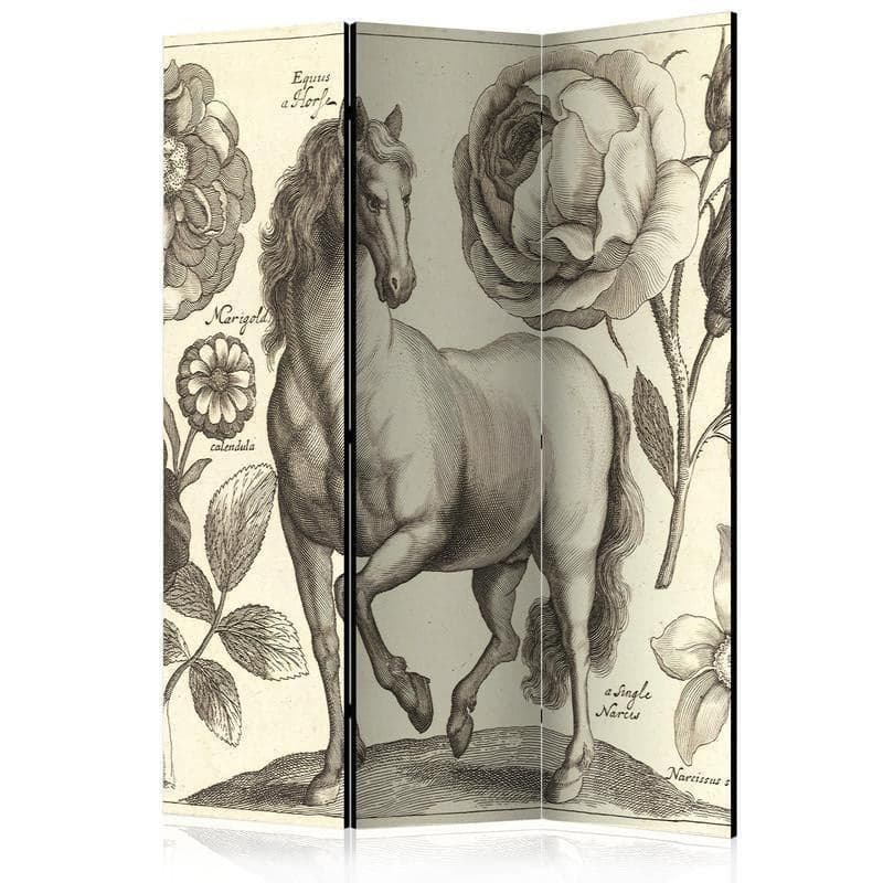 Paravento Horse [divisori da interno] in Paraventi Collezione Casa - Trebisacce, commercioVirtuoso.it