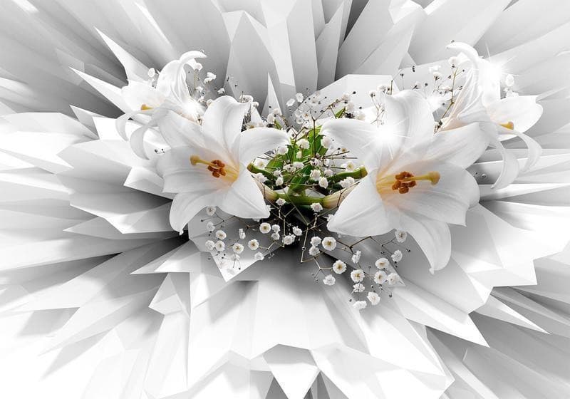 Fotomurale adesivo Floral Explosion in Carta da parati Collezione Casa - Trebisacce, commercioVirtuoso.it