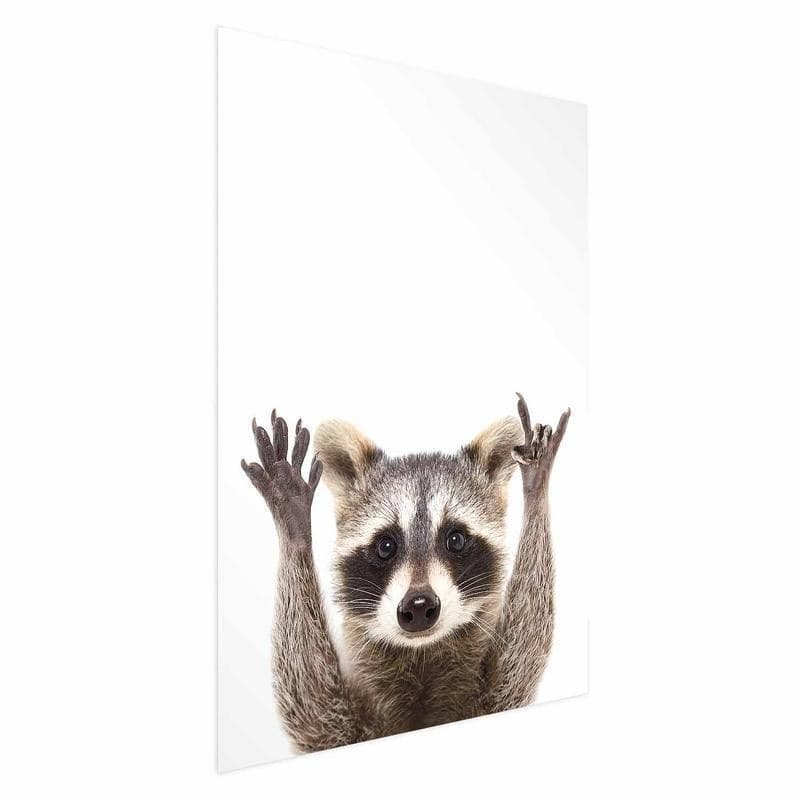 Poster - Raccoon in Poster e stampe Collezione Casa - Trebisacce, commercioVirtuoso.it