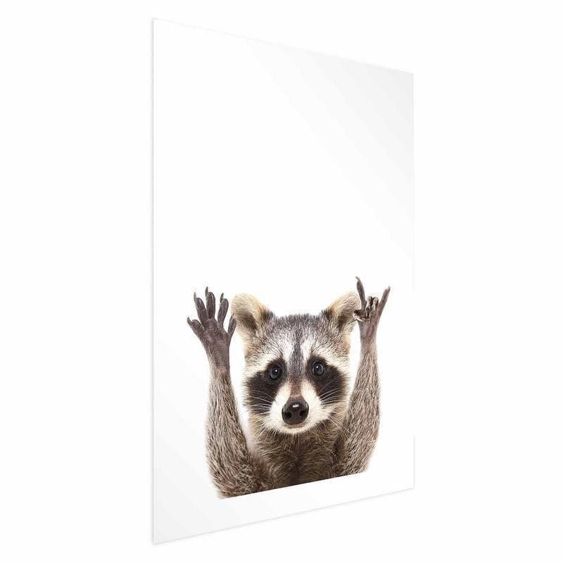 Poster - Raccoon in Poster e stampe Collezione Casa - Trebisacce, commercioVirtuoso.it