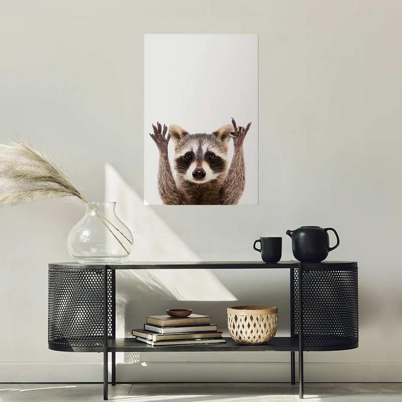 Poster - Raccoon in Poster e stampe Collezione Casa - Trebisacce, commercioVirtuoso.it