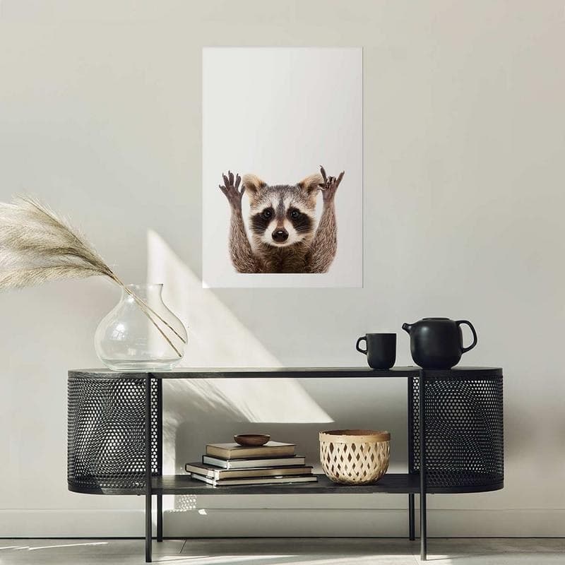 Poster - Raccoon in Poster e stampe Collezione Casa - Trebisacce, commercioVirtuoso.it