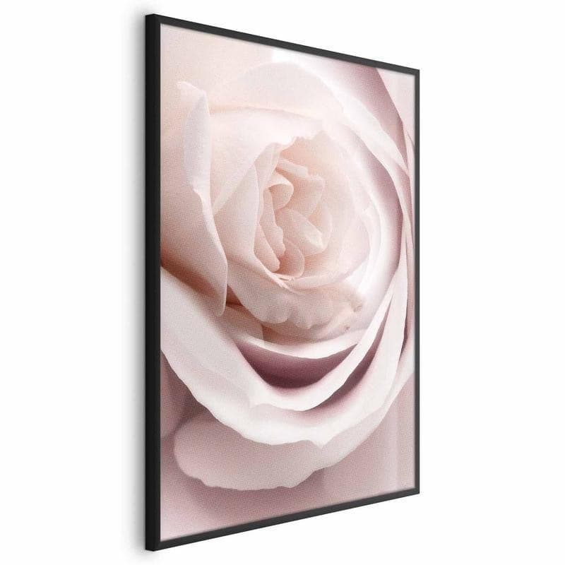 Poster - Porcelain Rose in Poster e stampe Collezione Casa - Trebisacce, commercioVirtuoso.it