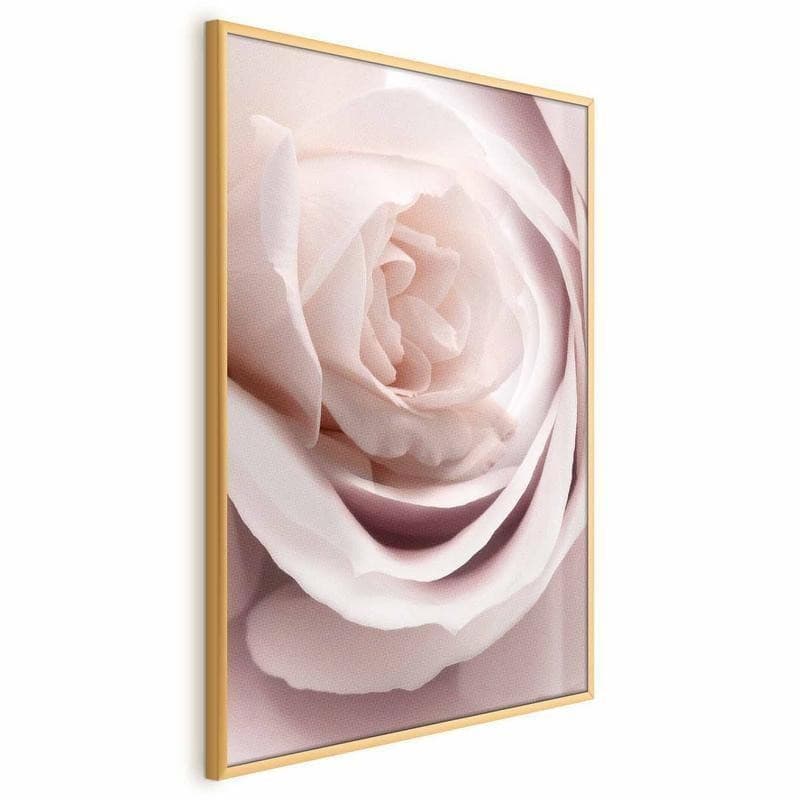 Poster - Porcelain Rose in Poster e stampe Collezione Casa - Trebisacce, commercioVirtuoso.it
