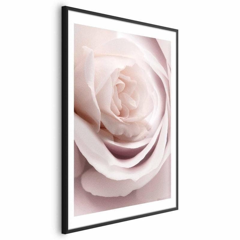 Poster - Porcelain Rose in Poster e stampe Collezione Casa - Trebisacce, commercioVirtuoso.it