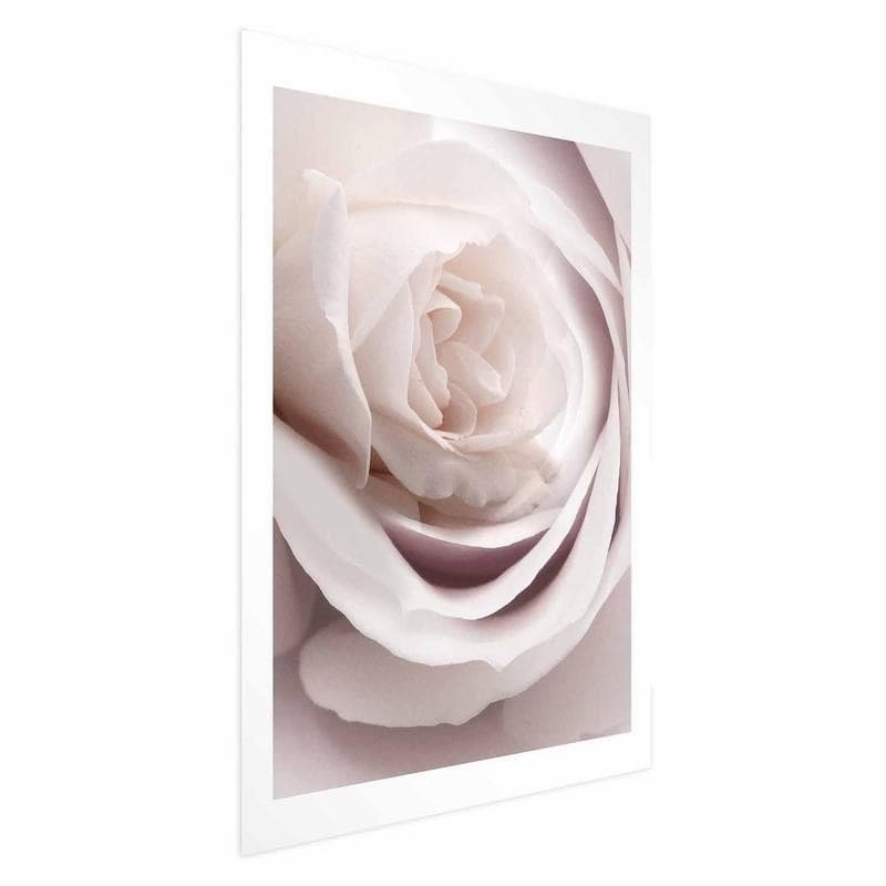 Poster - Porcelain Rose in Poster e stampe Collezione Casa - Trebisacce, commercioVirtuoso.it