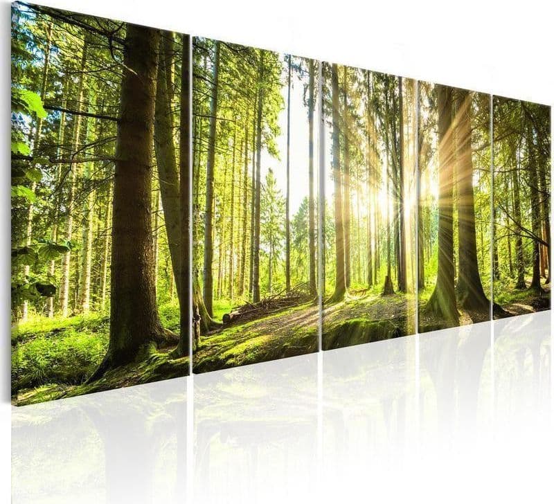 Quadro Sunlight in Poster e stampe Collezione Casa - Trebisacce, commercioVirtuoso.it