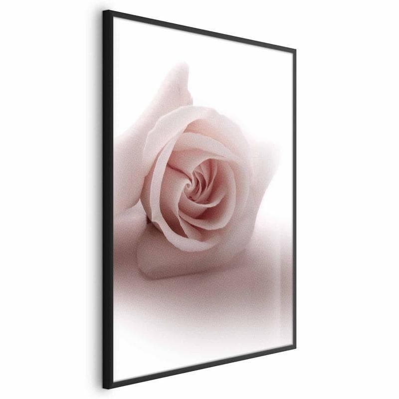 Poster - Rose Shadow in Poster e stampe Collezione Casa - Trebisacce, commercioVirtuoso.it