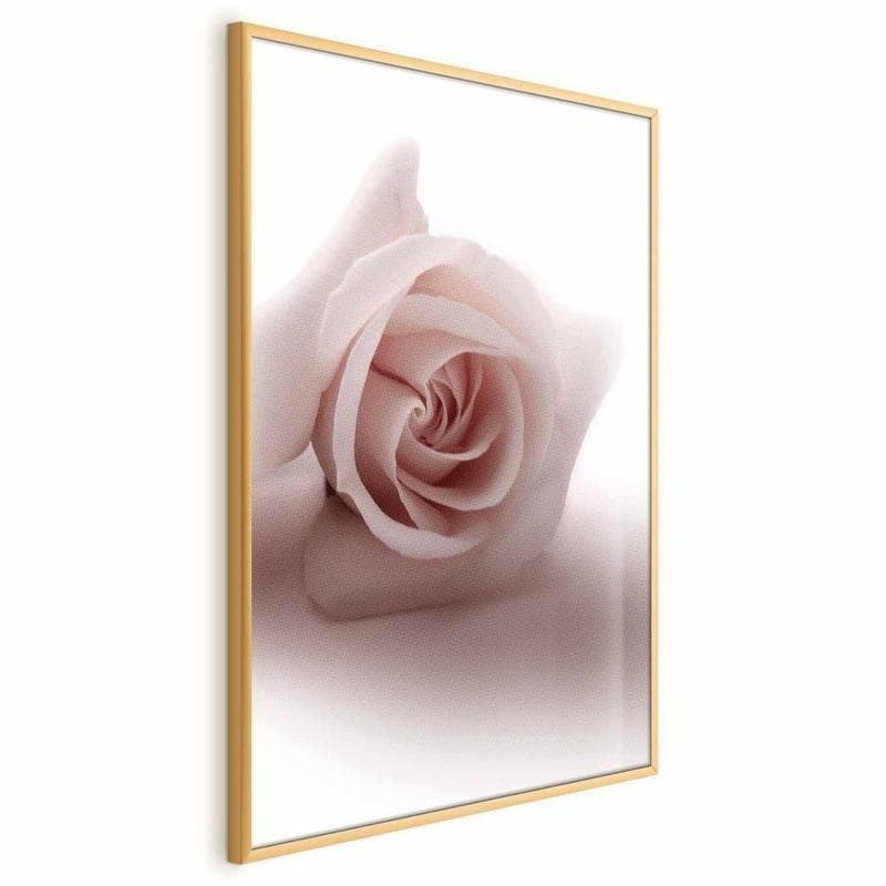 Poster - Rose Shadow in Poster e stampe Collezione Casa - Trebisacce, commercioVirtuoso.it