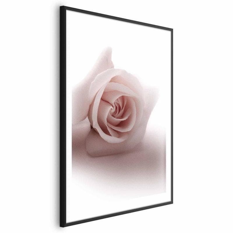 Poster - Rose Shadow in Poster e stampe Collezione Casa - Trebisacce, commercioVirtuoso.it