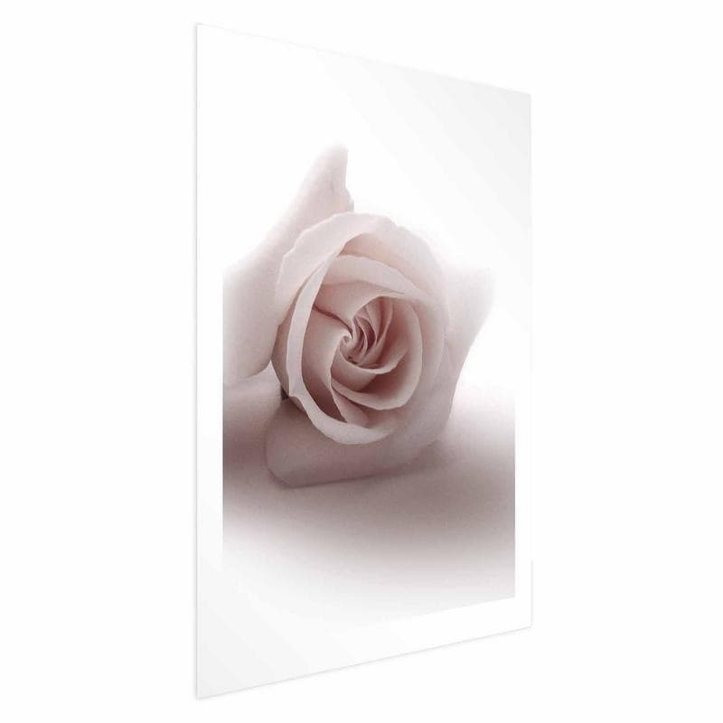 Poster - Rose Shadow in Poster e stampe Collezione Casa - Trebisacce, commercioVirtuoso.it