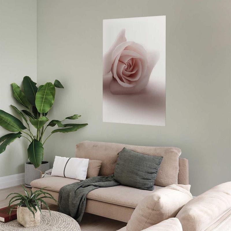 Poster - Rose Shadow in Poster e stampe Collezione Casa - Trebisacce, commercioVirtuoso.it