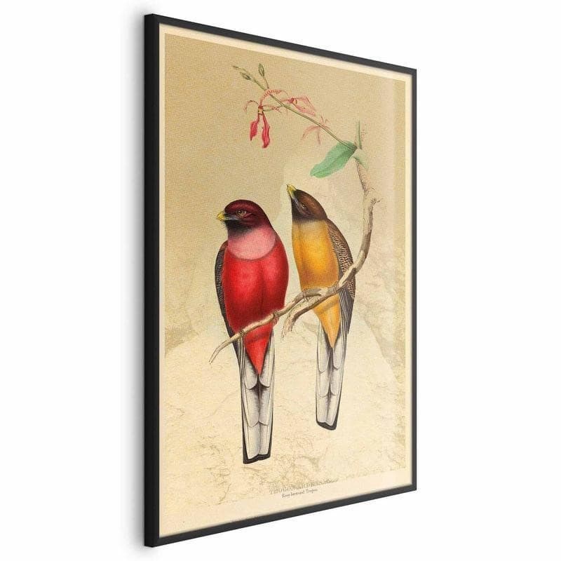 Poster - Birds on a Branch in Poster e stampe Collezione Casa - Trebisacce, commercioVirtuoso.it