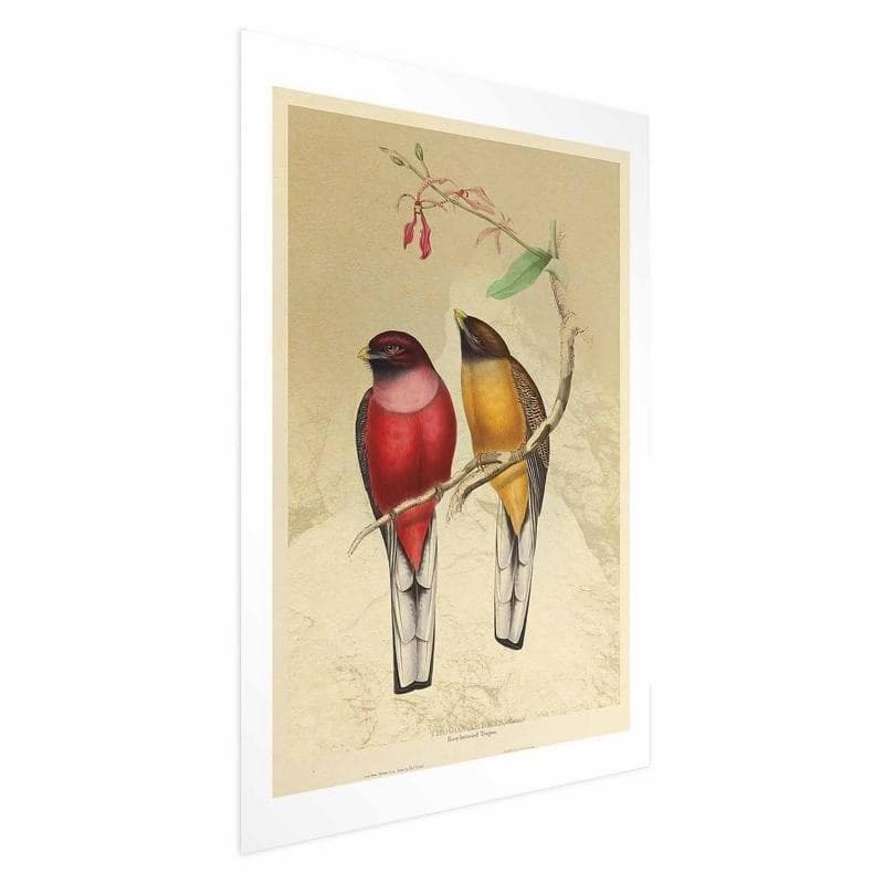 Poster - Birds on a Branch in Poster e stampe Collezione Casa - Trebisacce, commercioVirtuoso.it