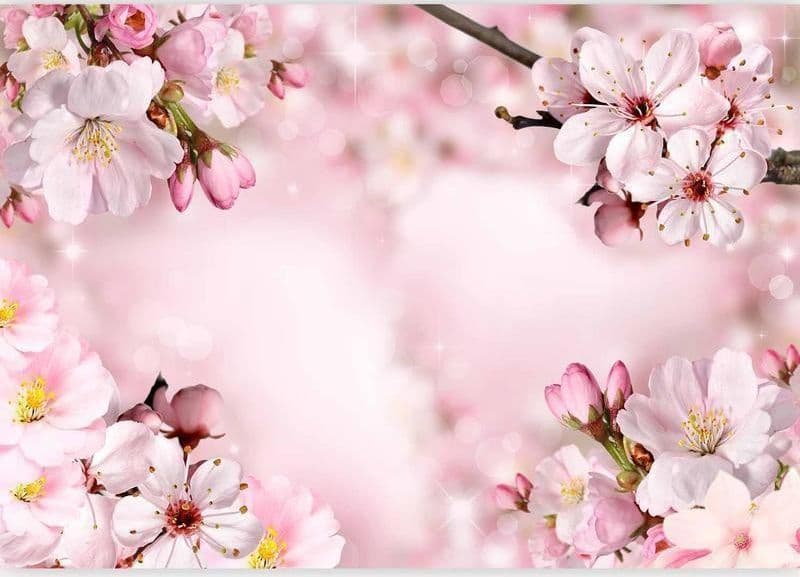 Fotomurale Spring Cherry Blossom in Carta da parati Collezione Casa - Trebisacce, commercioVirtuoso.it